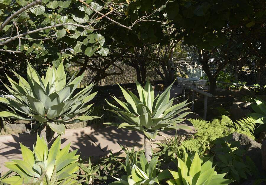 Jardín botánico